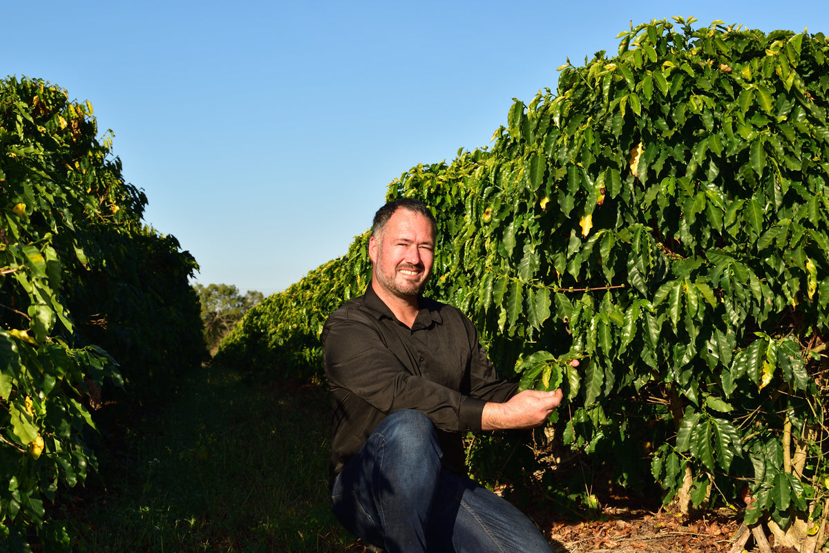 What Makes Australian-Grown Coffee Different?