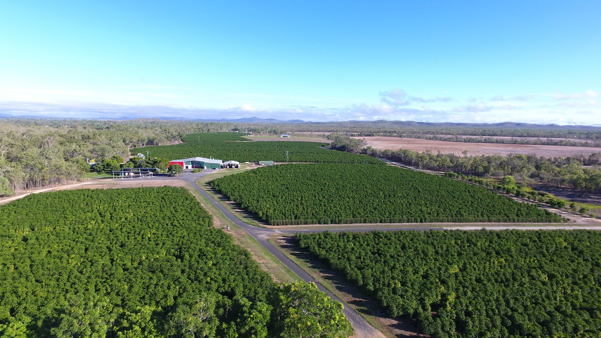 Australian Single-Origin Coffee: What It Means and Why It Matters
