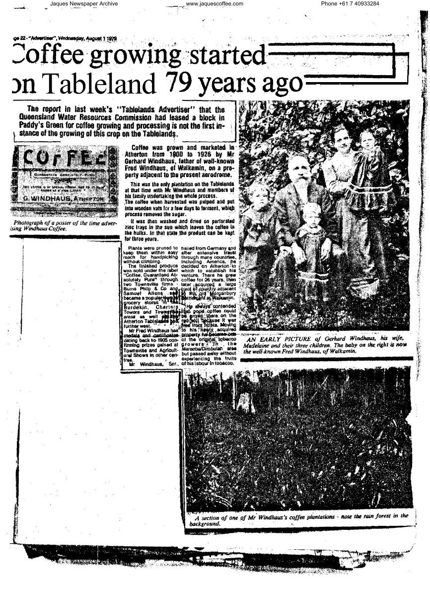 Coffee Growing Started on Tablelands 79 years ago