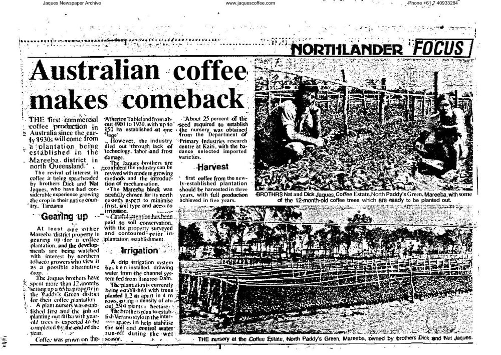 Australian Coffee makes comeback