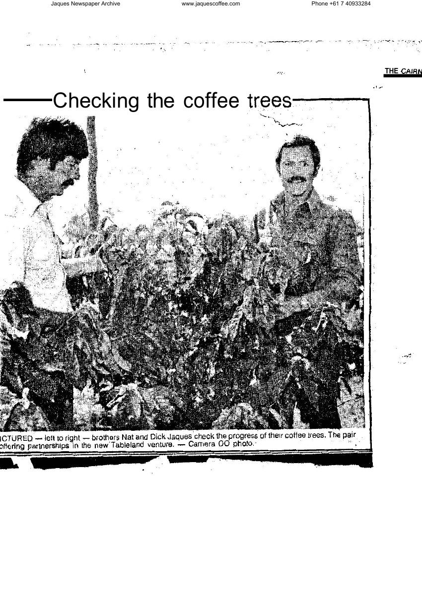 Checking the Coffee Trees