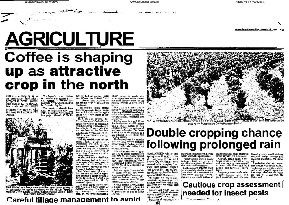Coffee is shaping up as attractive crop in the north