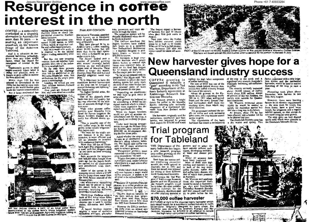 Resurgence in coffee interest in the north