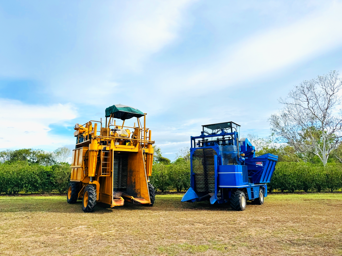 Yellow and blue mechanical coffee harvesters at Jaques Coffee Plantation