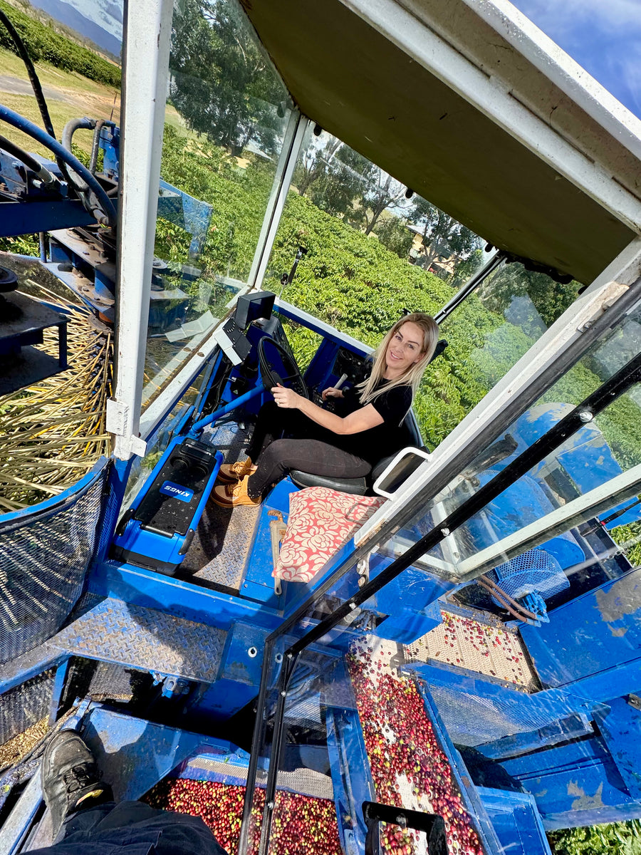 Inside the operator cab of the blue coffee harvester